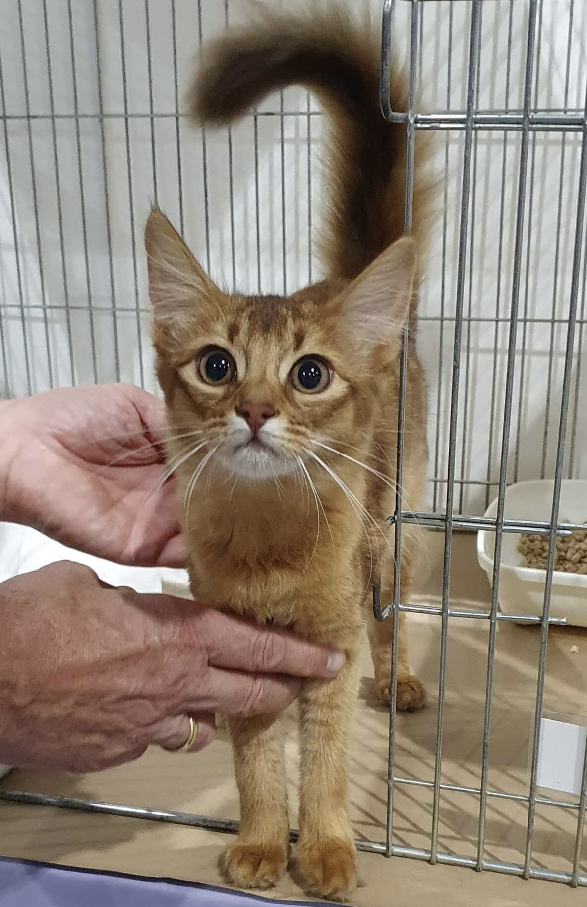 38515080 C14F 492F 9F48 469EDE525B51