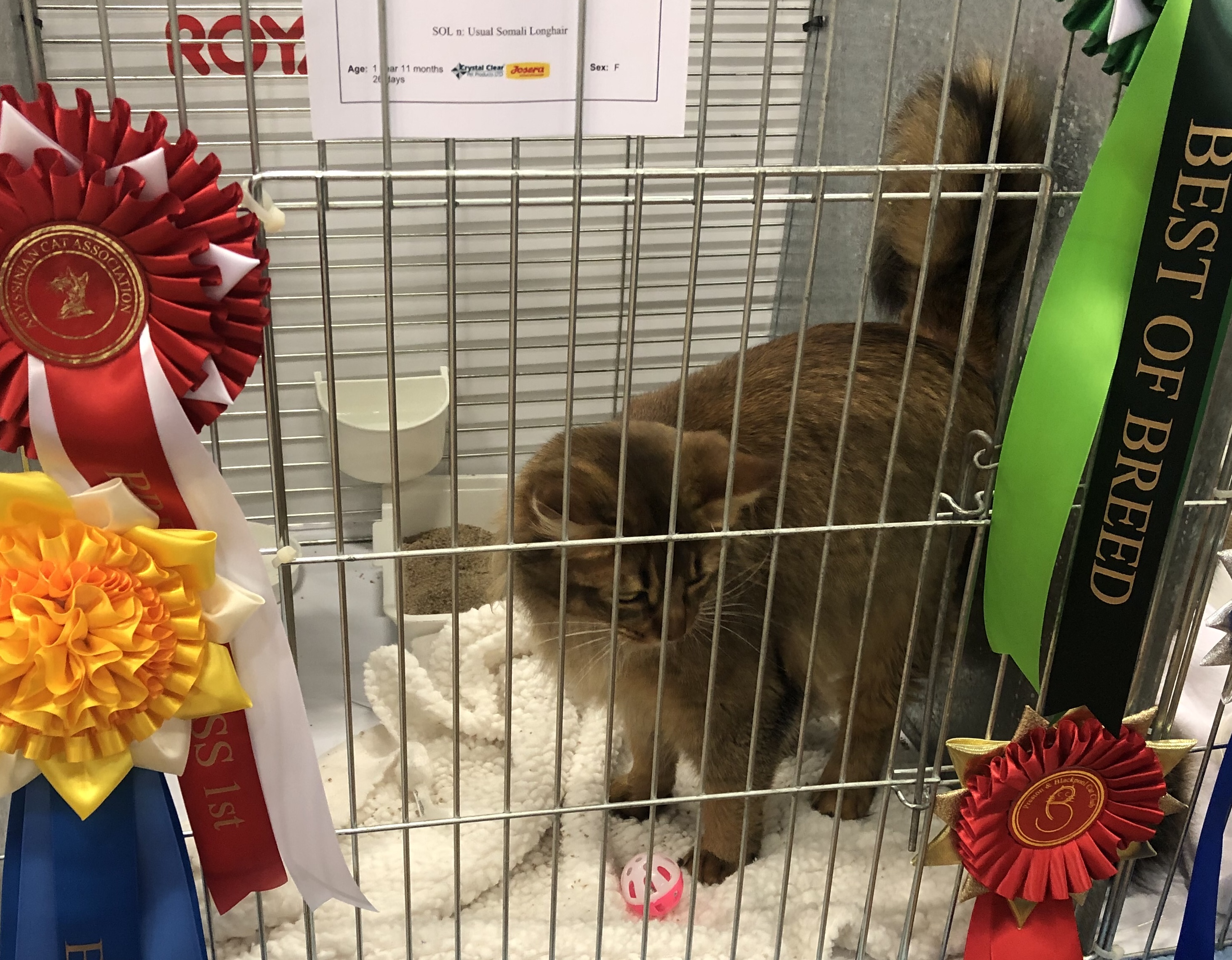 7A0E3E1A 65E9 4B69 9474 1B1F51BB665B