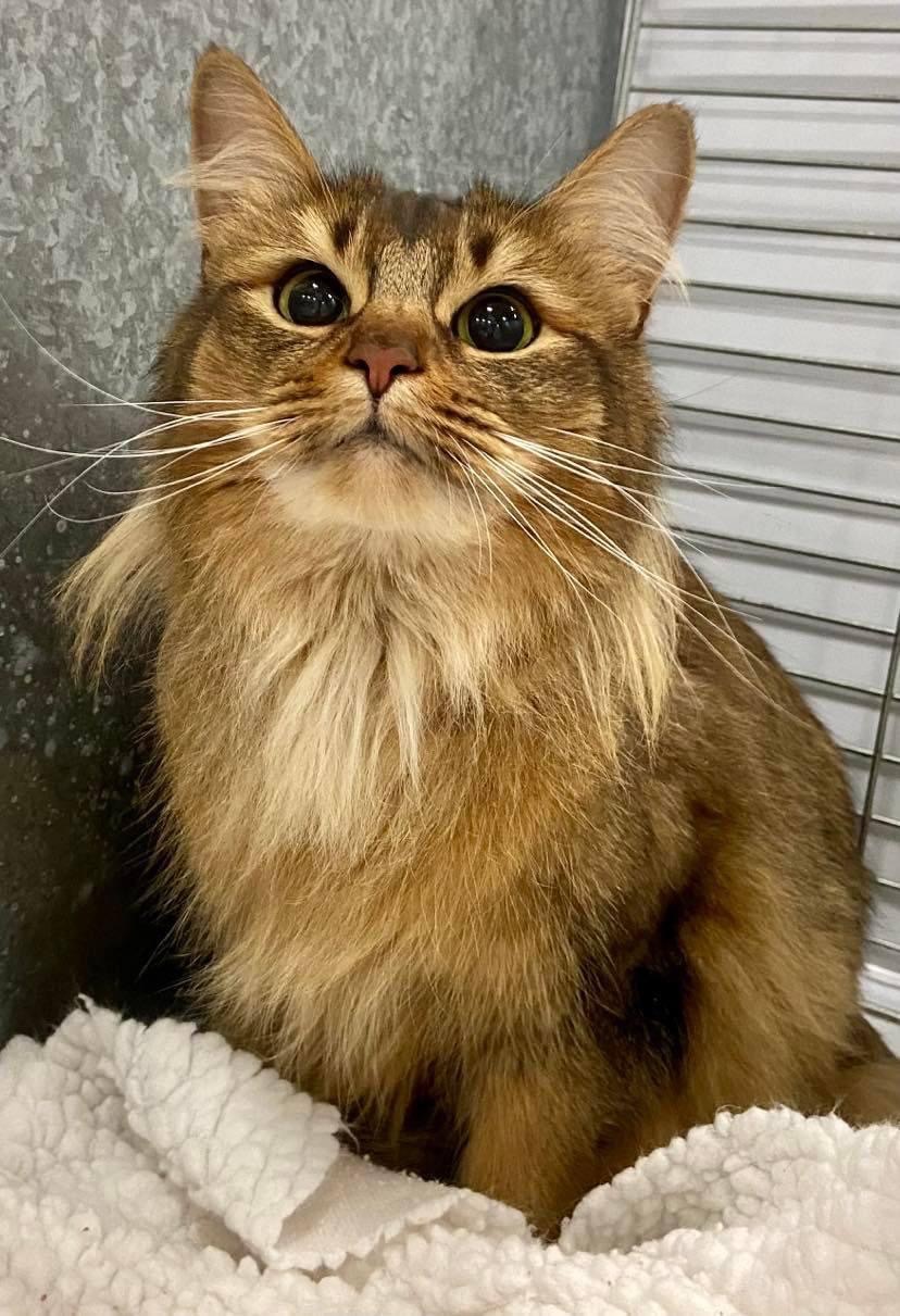 832F3117 79D6 4943 BE68 E33CAFD9701F