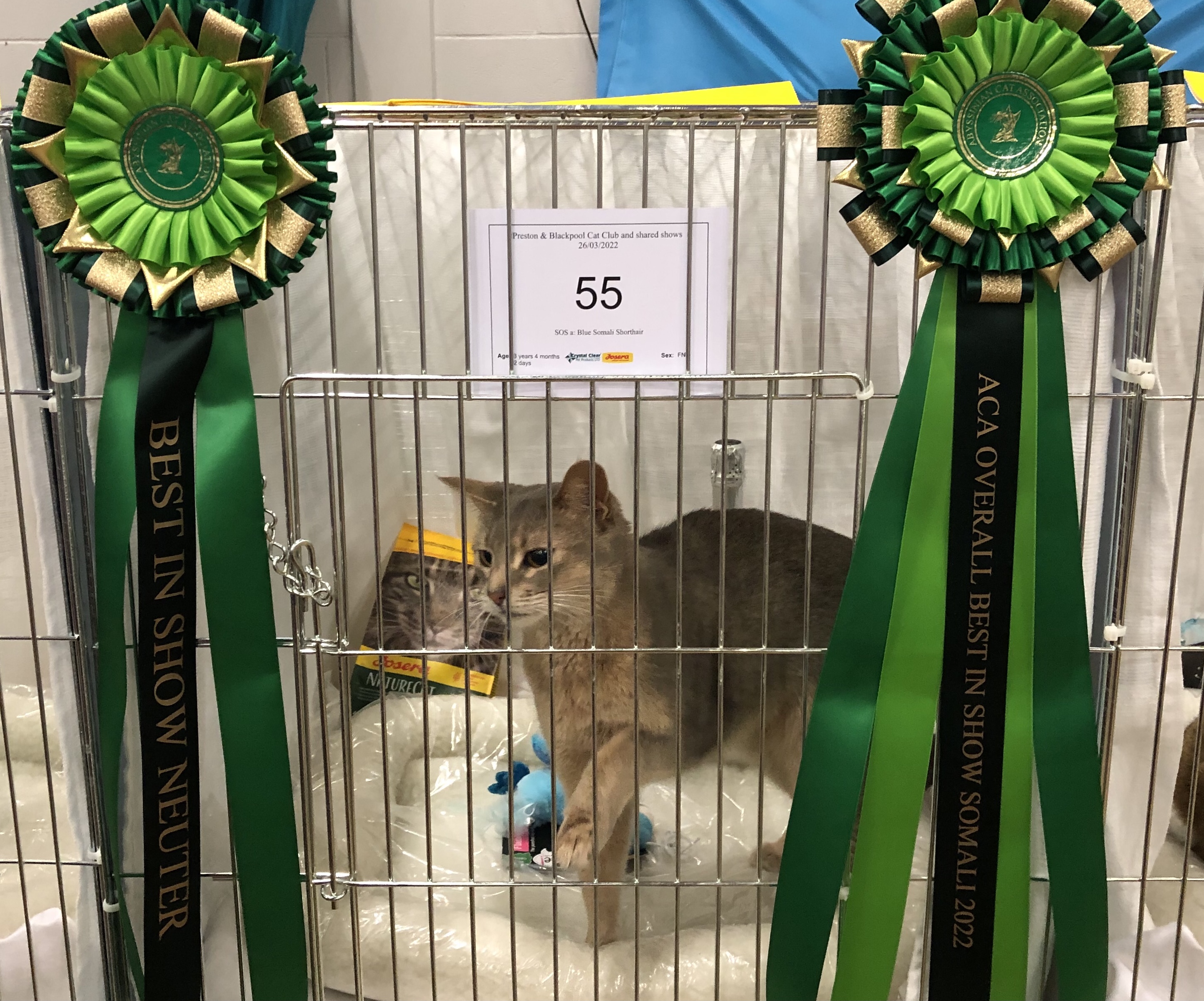 89B00E1A 3523 418C BE8E 22BAB89D5A0C