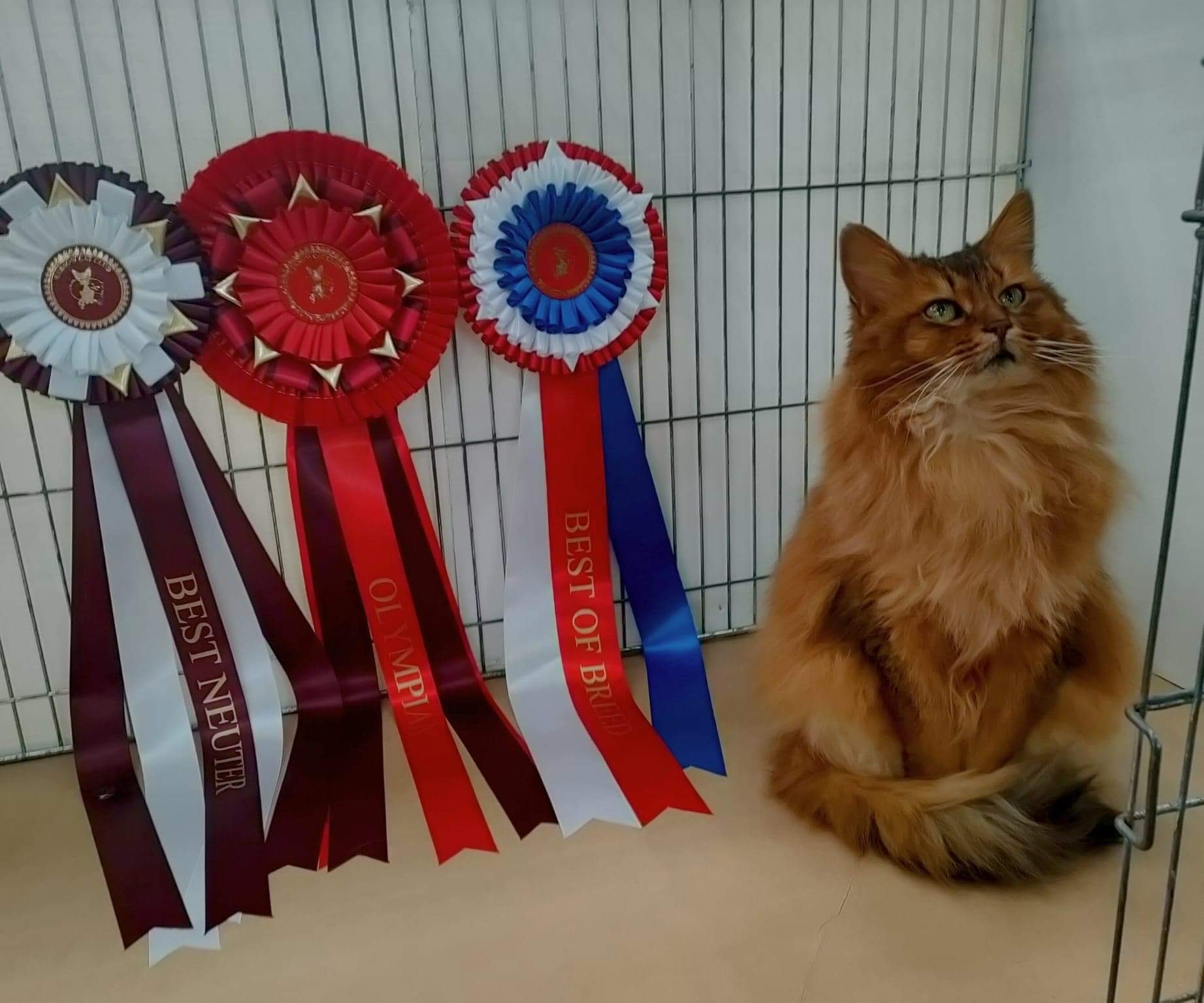 CD34B86D 7F0C 4731 B1CE D938D6EB1A6D